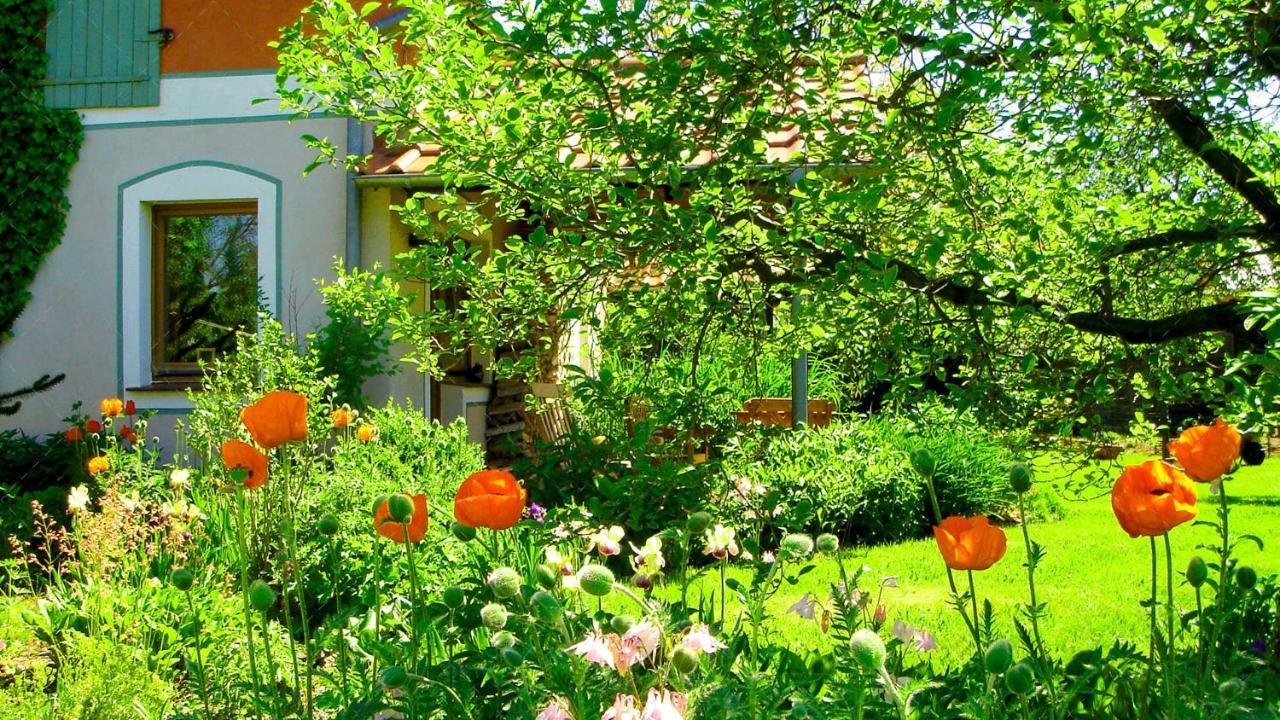 Apartment Janischs Im Spreewald, Terrasse, Grosser Garten Und Blick Inklusive Unterspreewald