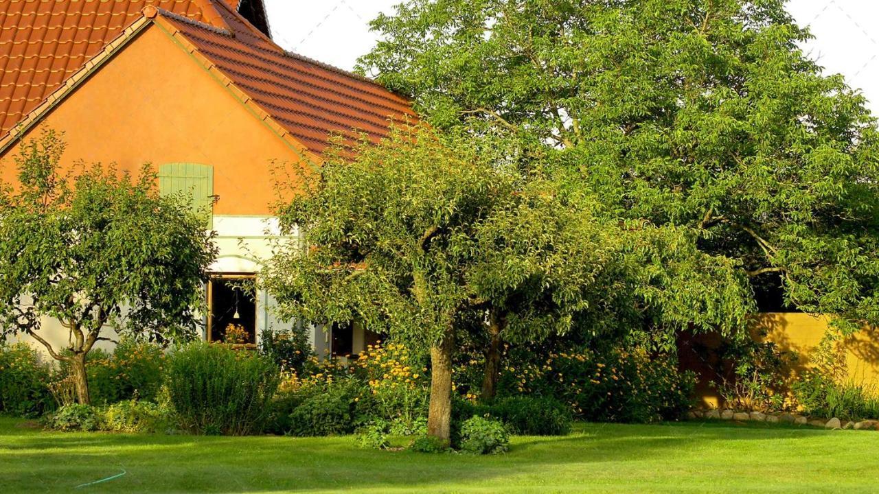 Janischs Im Spreewald, Terrasse, Grosser Garten Und Blick Inklusive Apartment Unterspreewald