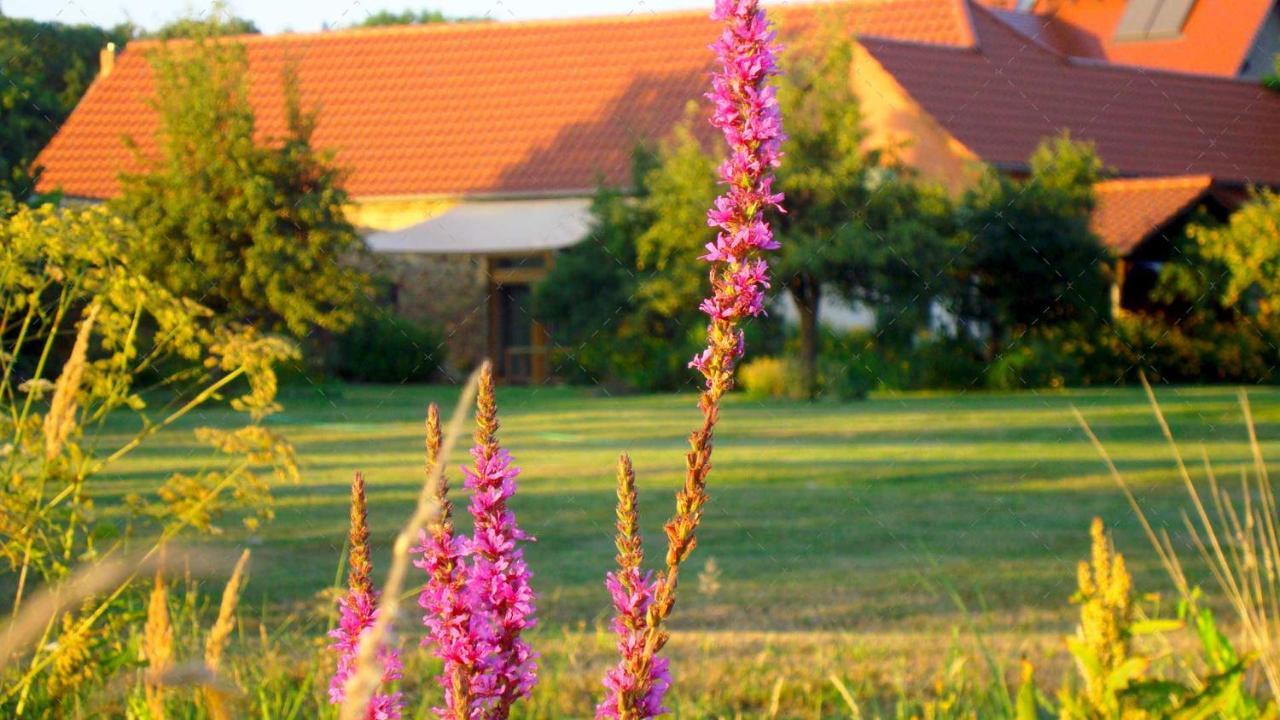 Janischs Im Spreewald, Terrasse, Grosser Garten Und Blick Inklusive * Unterspreewald