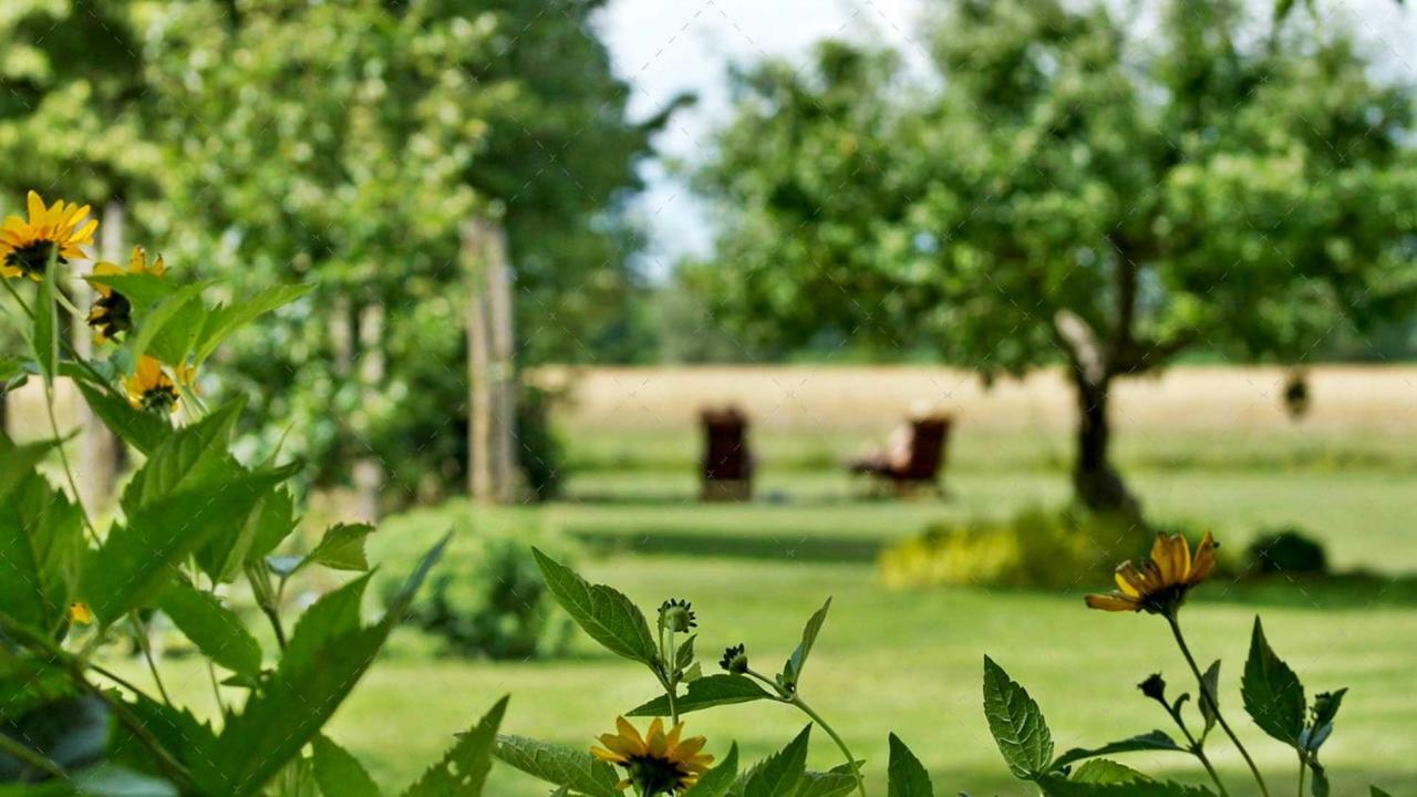 Janischs Im Spreewald, Terrasse, Grosser Garten Und Blick Inklusive
